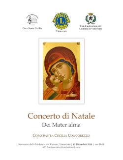 L`ONU. Il diritto delle Nazioni Unite