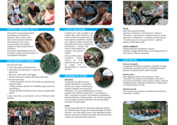 About Time: Cosmology and Culture at the Twilight of the Big Bang