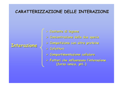 Divina Commedia