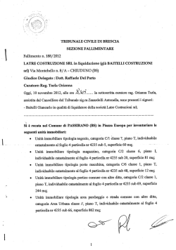 Mit dem Gesicht zur Sonne: Autobiographie von Yvonne Holthaus