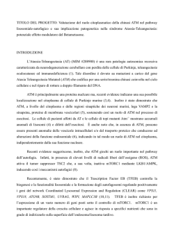 I delitti del mondo nuovo