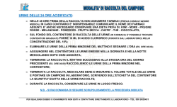 palermo - 1 - cdn