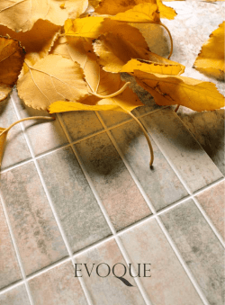 Scadenzario di Laurea in M.O. - Universit&agrave; Politecnica delle Marche