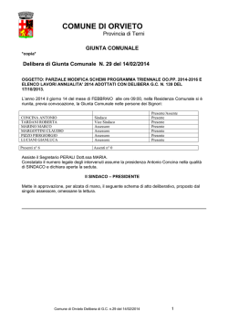 delibera 29 del 14/02/2014