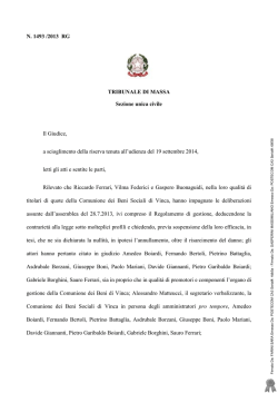 N. 1493 /2013 RG TRIBUNALE DI MASSA Sezione
