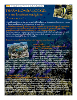 clicca qui per scoprire i luoghi di immersione