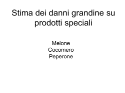 Stima danni su melone, cocomero, peperone