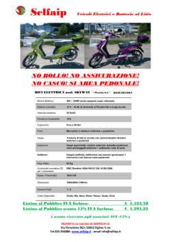 Listino Bici Elettrica SKYWAY Pb-Gel New