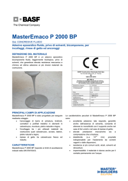 MasterEmaco P 2000 BP