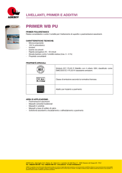 PRIMER WB PU