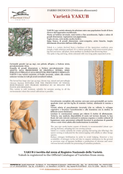 Varietà YAKUB