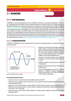 5.1 RUMORE - Impresa Sicura