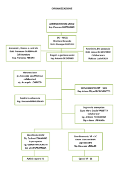 ORGANIZZAZIONE AMMINISTRATORE UNICO Ing