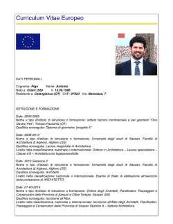 Curriculum Vitae 2 - Antonio Piga