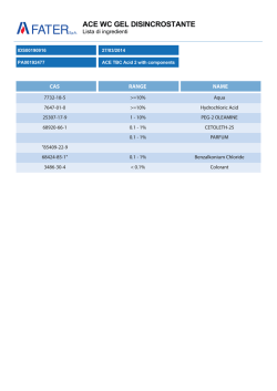 Ace wc gel disincrostante