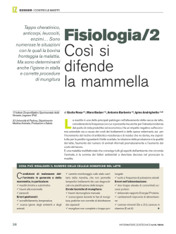 Fisiologia/2 Cos&igrave; si difende la mammella