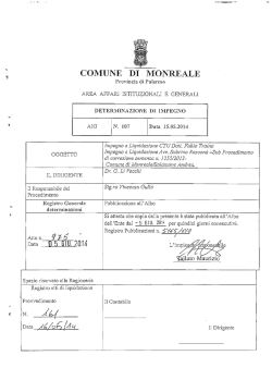20140605_5165_610_determinazione dirigenziale dal n.975 al n