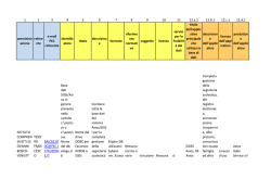 Clicca qui per visualizzare il file a schermo intero