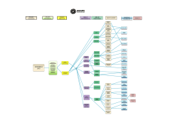 organigramma 2014