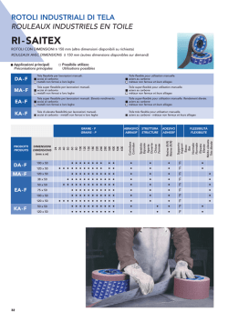 SAIT ABRASIVI - ABRASIVI / ABRASIFS