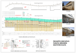 Paratia berlinese multivincolata