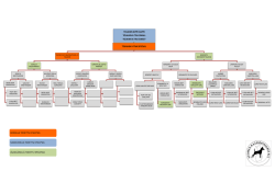 tojahin xippi xappi tojahin x-tra small tojahin x-tra sweet