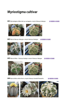 M1Myriostigma kikko koh yo variegato x myrio - Mea