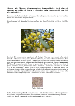 Scarica il documento allegato