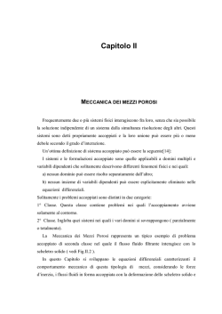 Capitolo II MECCANICA DEI MEZZI POROSI