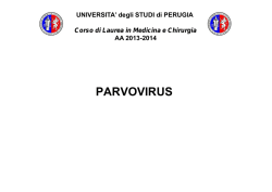 11.parvovirus - Università degli Studi di Perugia