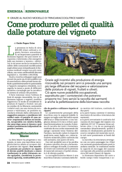Come produrre pellet di qualit&agrave; dalle potature del vigneto