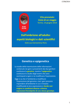 C. Peris - AMCI sez. Torino