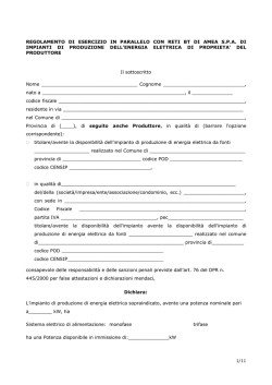 Produttori_Regolamento Esercizio_BT