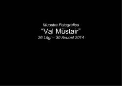 Pubblicazione - prima dei lavori