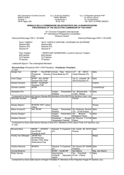 Alla Commissione Controllo Concorsi