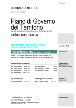 sintesi non tecnica