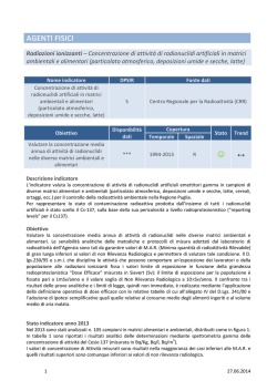 STATO e TREND INDICATORE anno 2013
