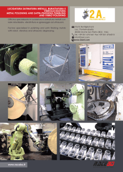 www.racebo.it LUCIDATURA SATINATURA METALLI