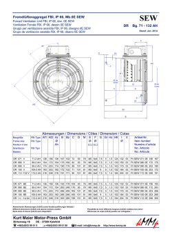 SEW - Kurt Maier Motor