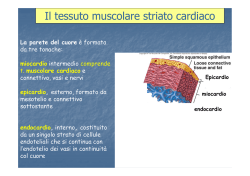 Muscolare cardiaco e liscio [modalit&agrave; compatibilit&agrave;]