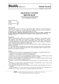 SELENITE BROTH BASE