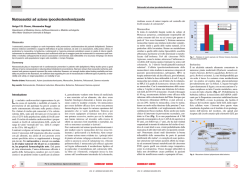 Nutraceutici ad azione ipocolesterolemizzante