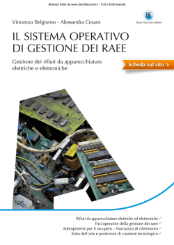 e abstract - Dario Flaccovio Editore