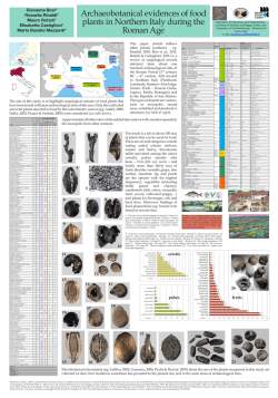 Archaeobotanical evidences of food plants in