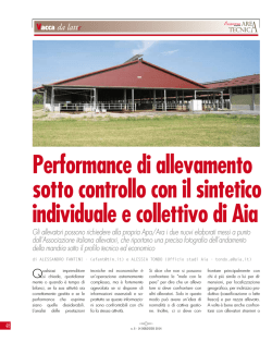 Introduzione al Sintetico Collettivo
