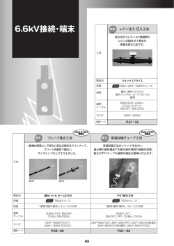 6.6kV接続・端末