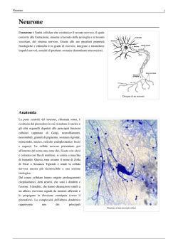 Neurone