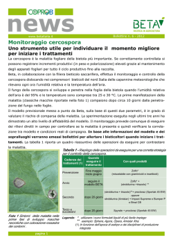 Bollettino 6 cercospora 2012