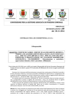 Det_60-CUC-2014_CAORSO_Affidam_Serv Banca Dati ICI