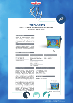 TH PARROTS - Raggio di Sole